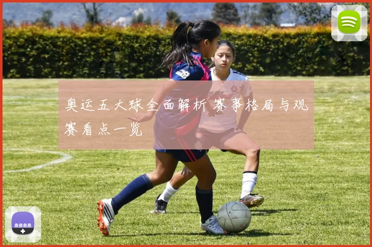 奥运五大球全面解析 赛事格局与观赛看点一览